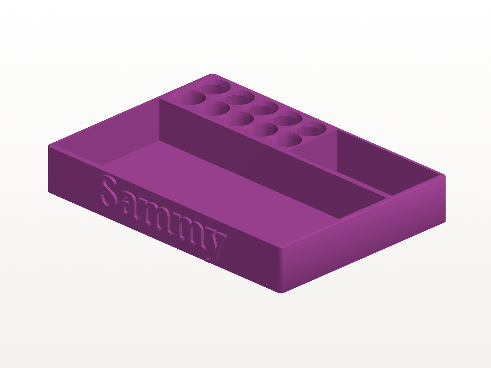 3D model preview of a personalized veterinary tray